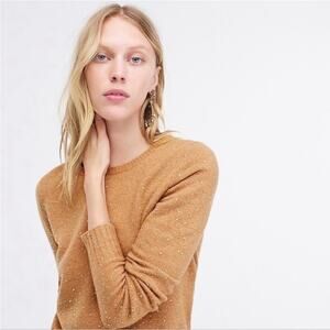 J Crew Gemstone Sweater Supersoft Yarn Tan Merino Wool $148 Medium AF013